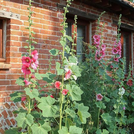 Elm Tree Barn Felmingham Exterior foto